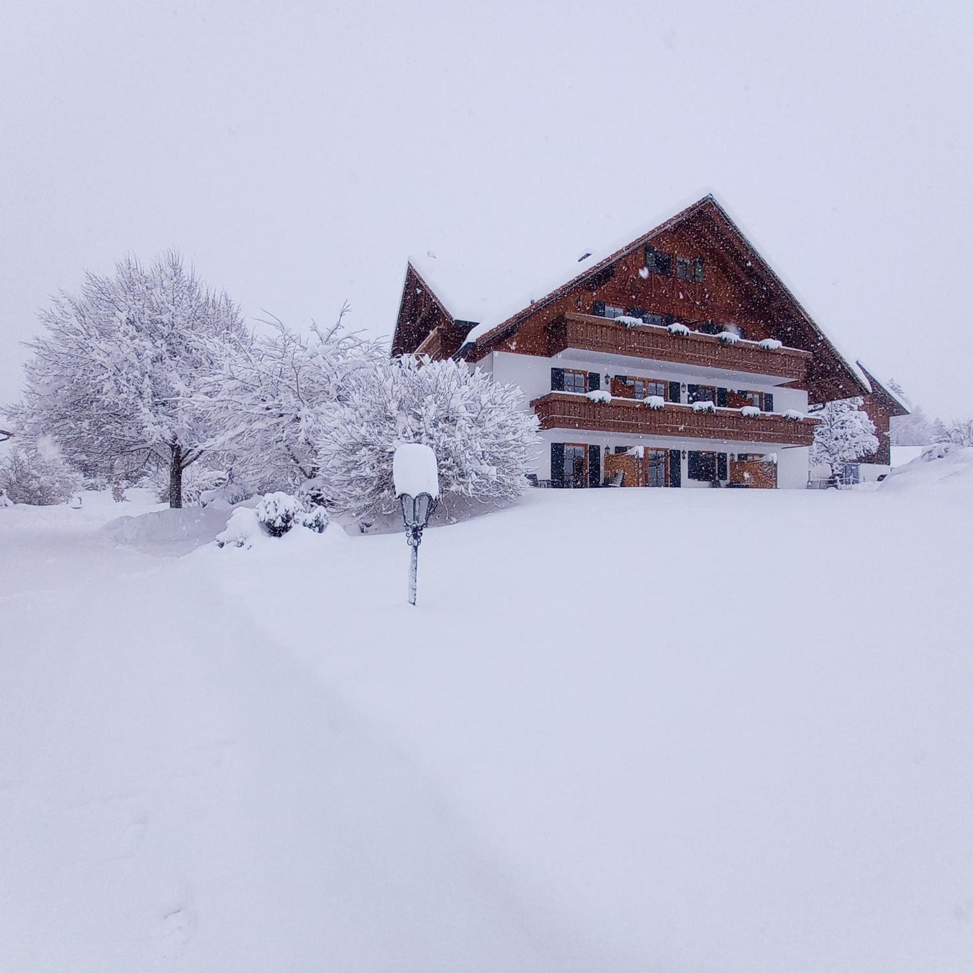 Ferienhof Allgaeumax Füssen Dış mekan fotoğraf