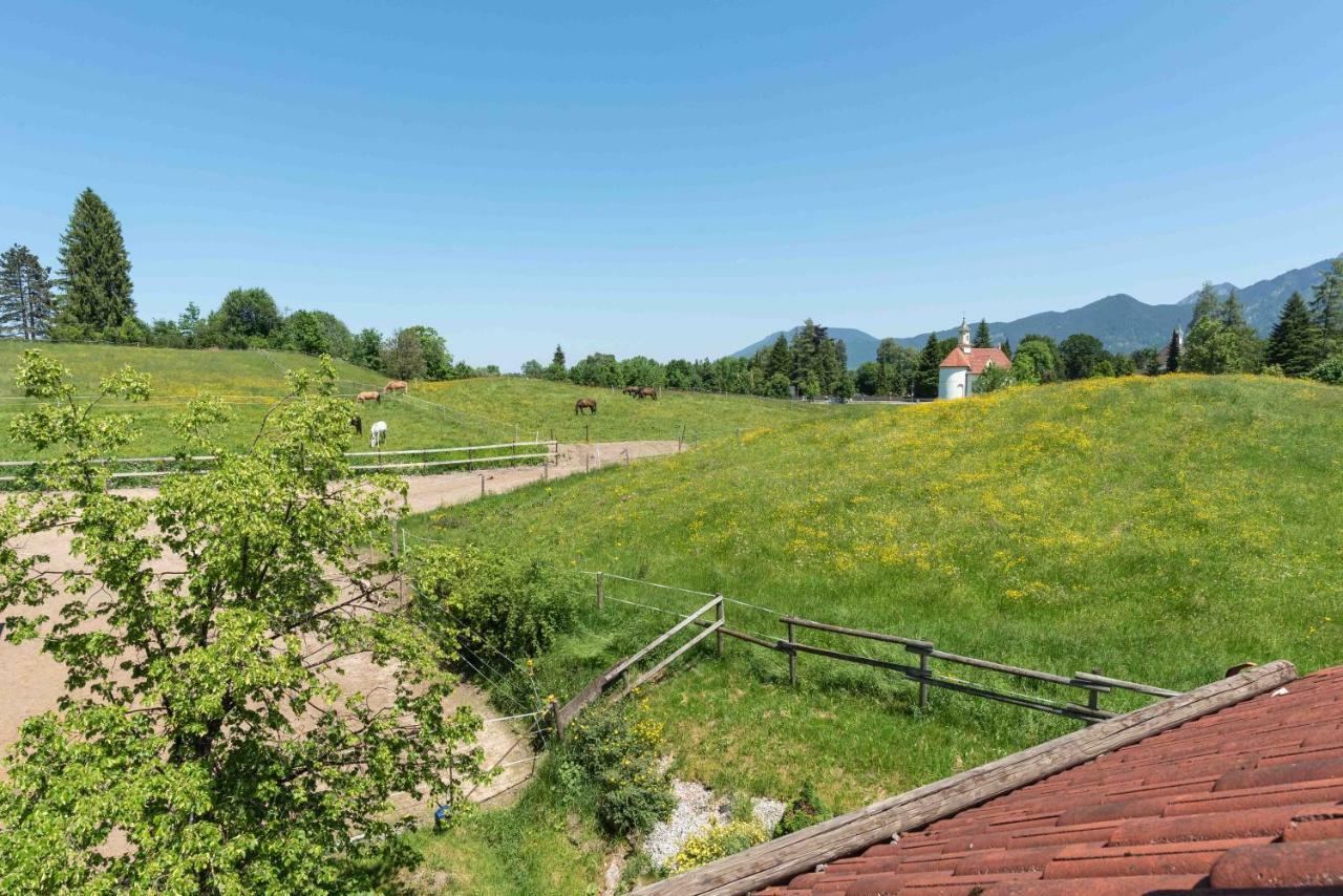 Ferienhof Allgaeumax Füssen Dış mekan fotoğraf